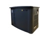 Бензиновый генератор CTG CX3000i в кожухе Бензиновый генератор CTG CX3000i в кожухе